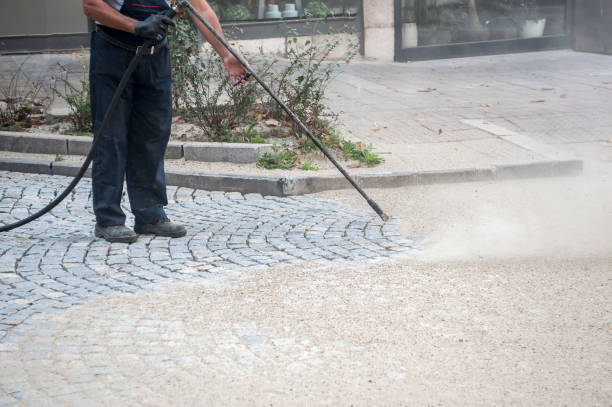 Best Sidewalk and Walkway Cleaning  in Holly, MI